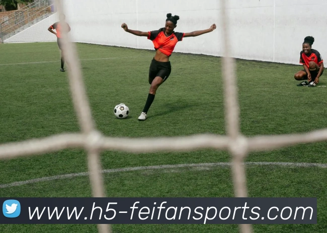 体育下注APP 封面图