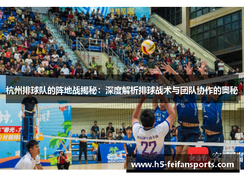 杭州排球队的阵地战揭秘：深度解析排球战术与团队协作的奥秘