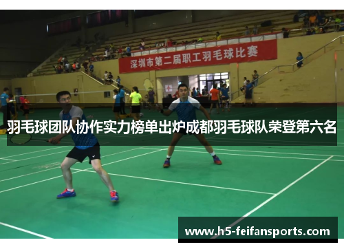 羽毛球团队协作实力榜单出炉成都羽毛球队荣登第六名