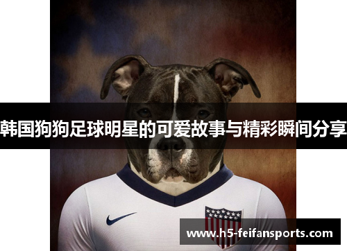 韩国狗狗足球明星的可爱故事与精彩瞬间分享